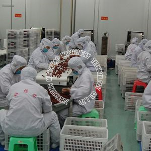 Jujube cleaning and processing line