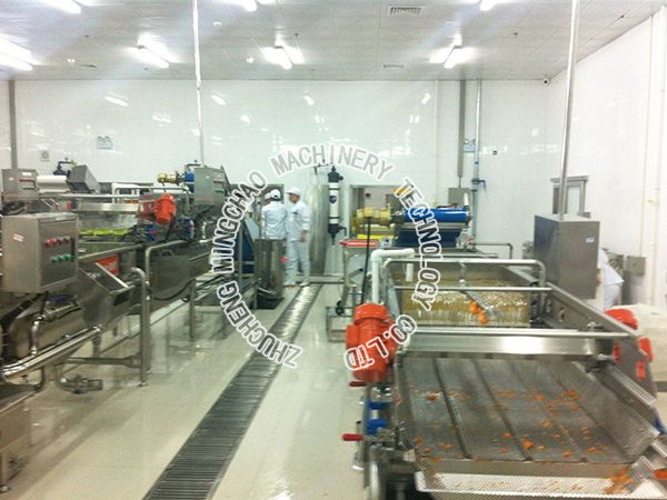 fruit cleaning and processing line machine